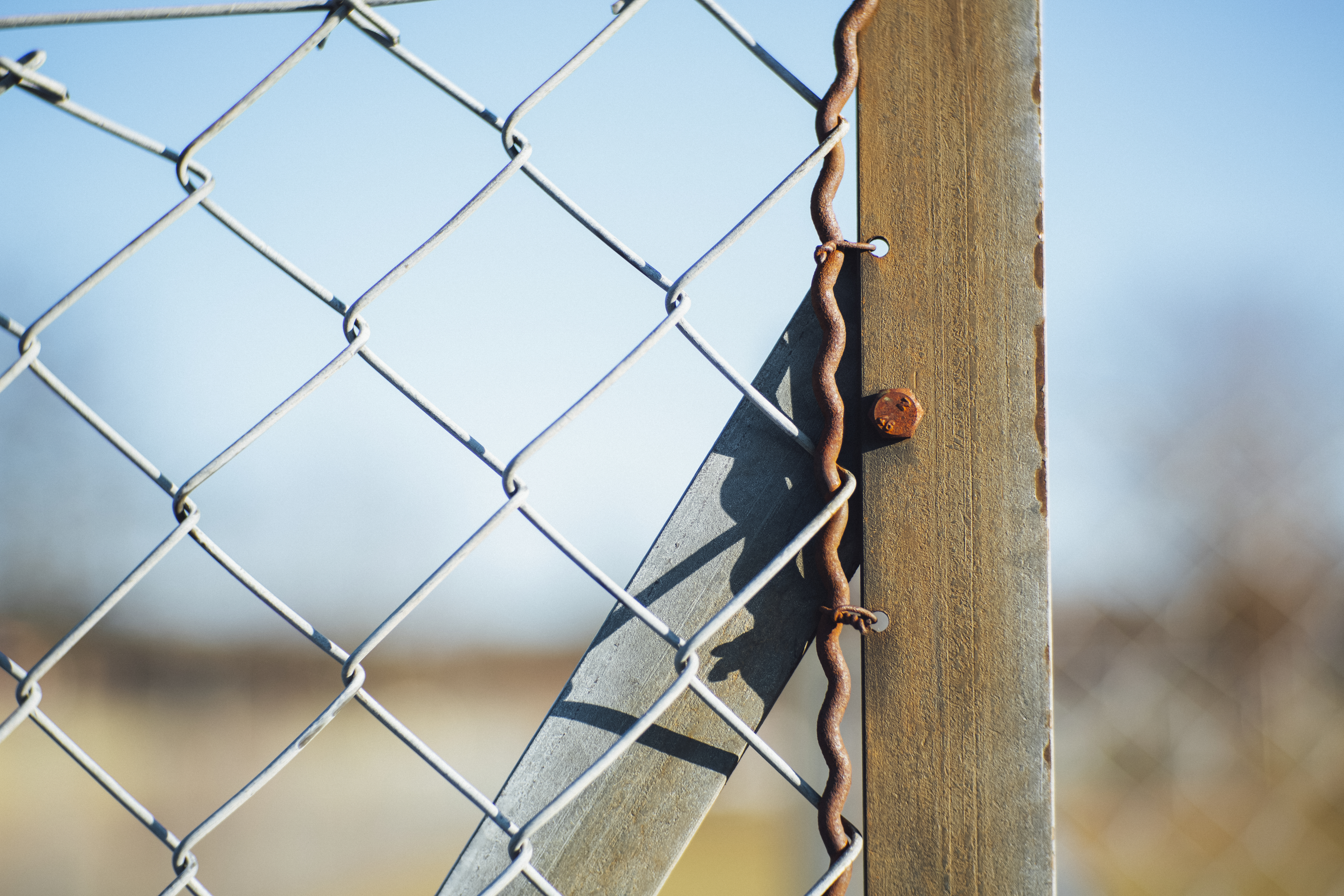 Migration, Flucht und Religion als Radikalisierungsfaktoren – eine empirische Bestandsaufnahme