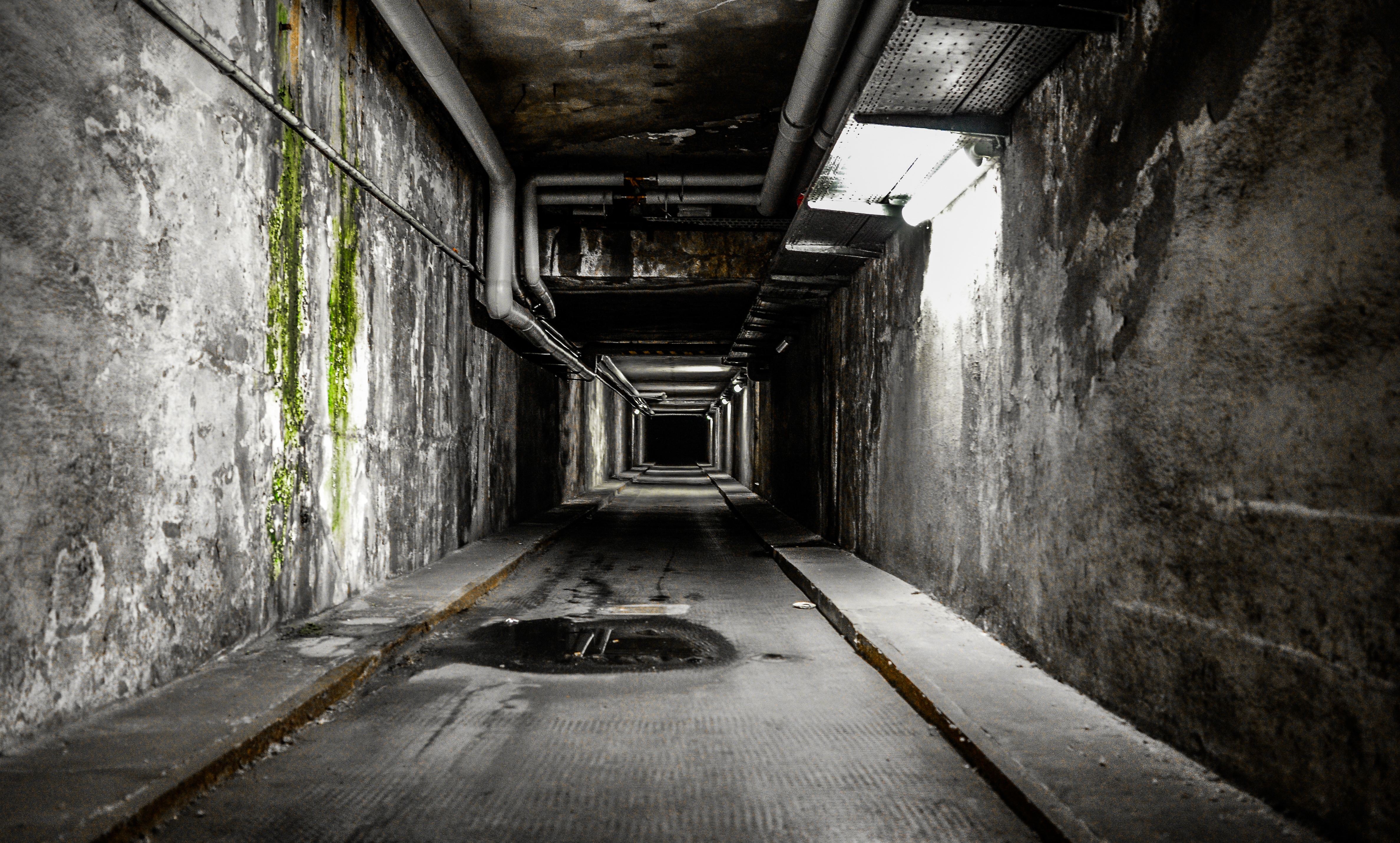 Extrem rechte und rassistische Gewalt